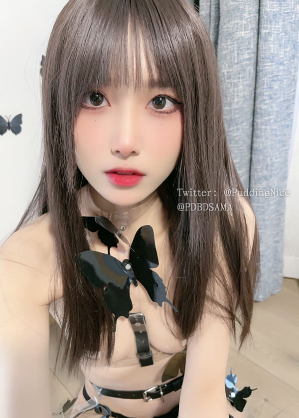 小姐姐布丁大法